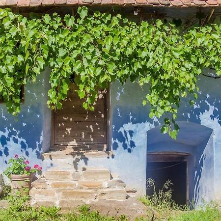 Experience Transylvania Viscri 63B Exteriör bild